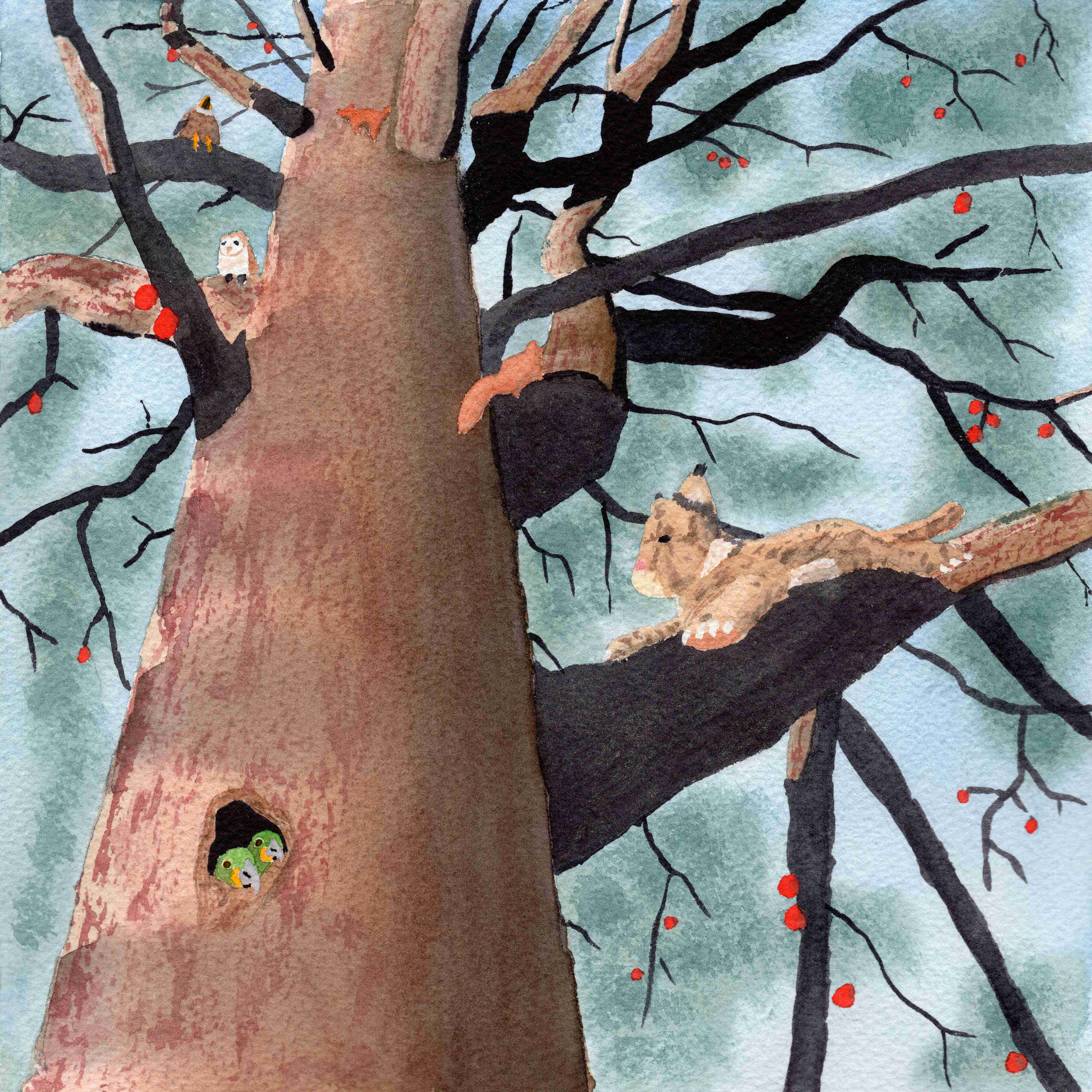 Illustration from the book